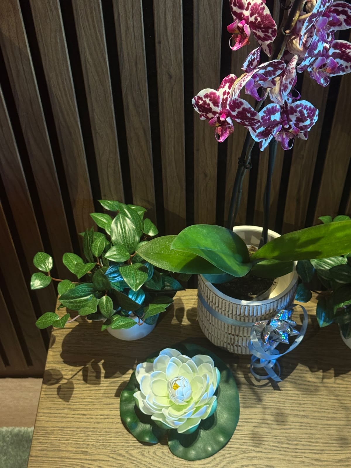Orchid and plants decorating the Siam Spa reception area